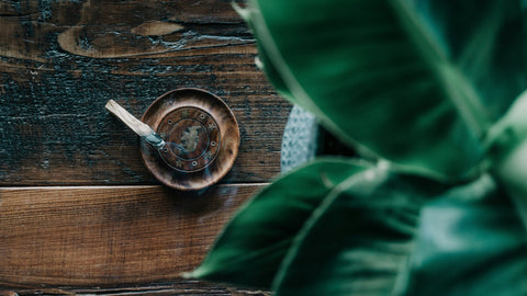 Palo Santo: Das heilige Holz Südamerikas