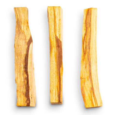 Palo Santo (Bursera graveolens) - Premium Sticks - Heiliges Holz - mit süßem Duft - Waldglück