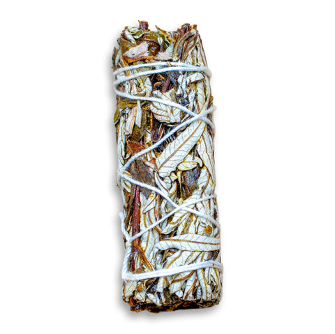 Räucherbündel Yerba Santa Smudge Stick - Traditionelle Räucherpflanze - Eriodictyon californicum