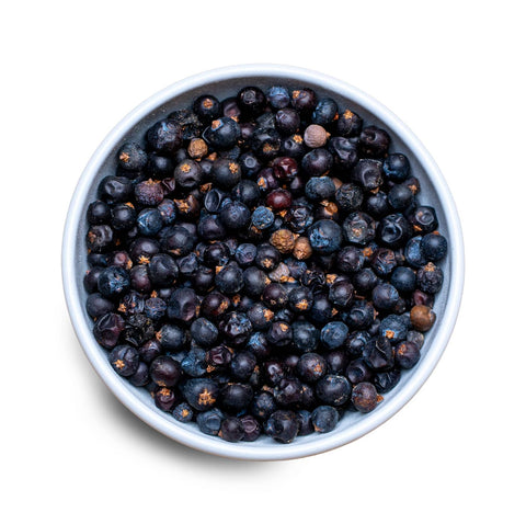 Wacholderbeeren (Juniperus oxycedrus) zum Räuchern