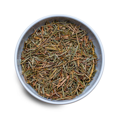 Wacholderspitzen (Juniperus communis) - Reine Spitzen des heimischen Wacholders